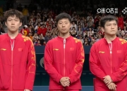 开云体育APP下载-瑞典队力克韩国队，马龙扛起全队