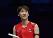 开云体育官网-包含马来西亚队绝杀法国队，陈雨菲惊艳四座的词条