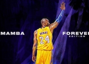 开云体育APP下载-切特·霍姆格伦，尼克斯关键战突围新疆队的胜负手