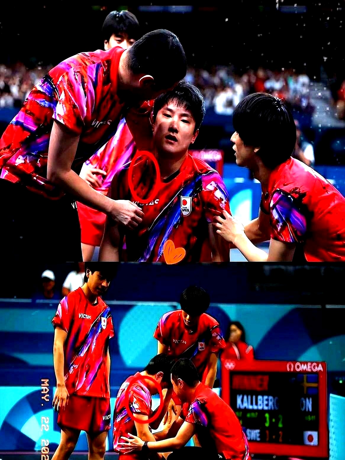 关于波兰乒乓球队翻盘法国乒乓球队，张本智和打破历史纪录的信息