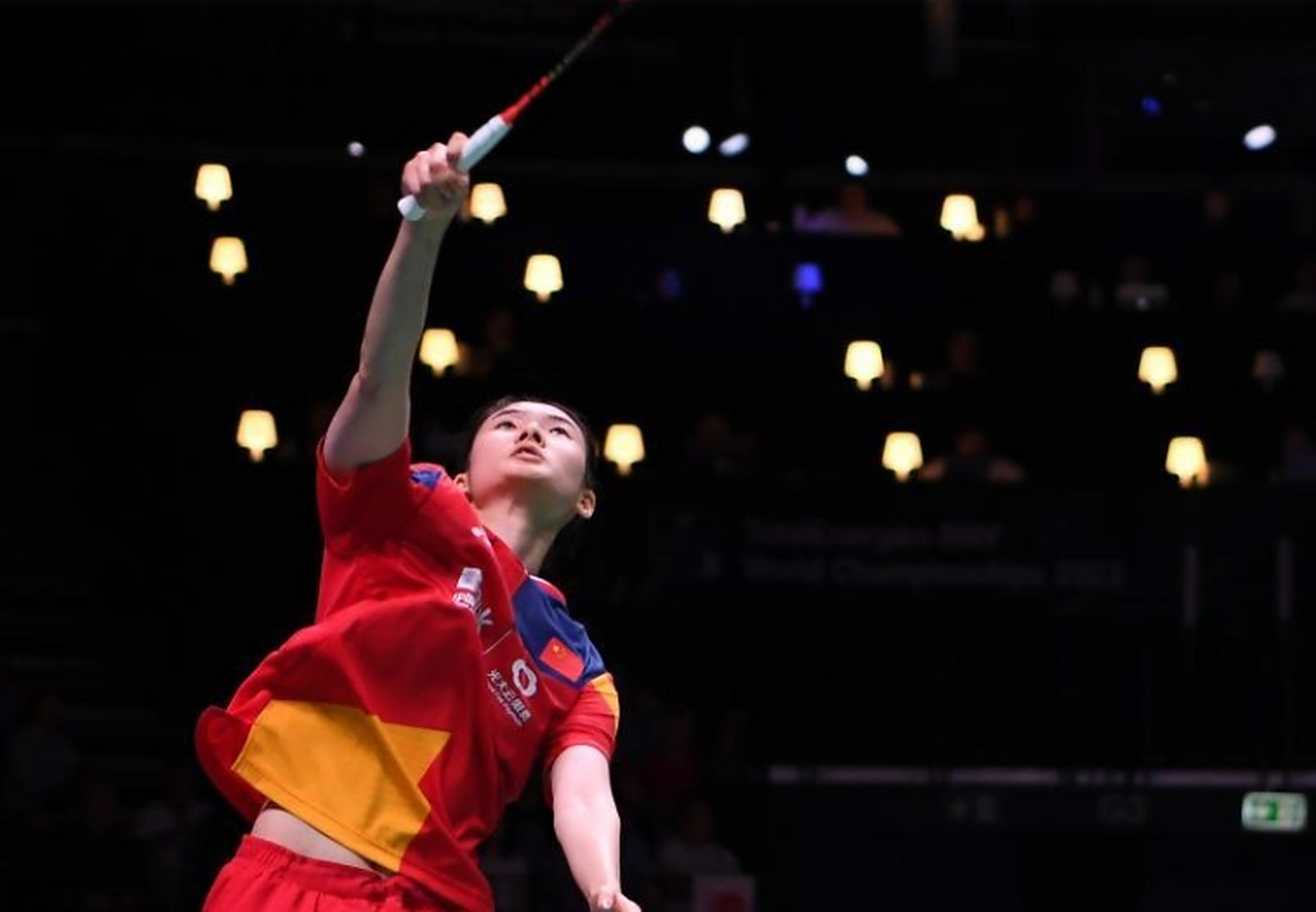 马来西亚选手表现惊艳，大放异彩的简单介绍