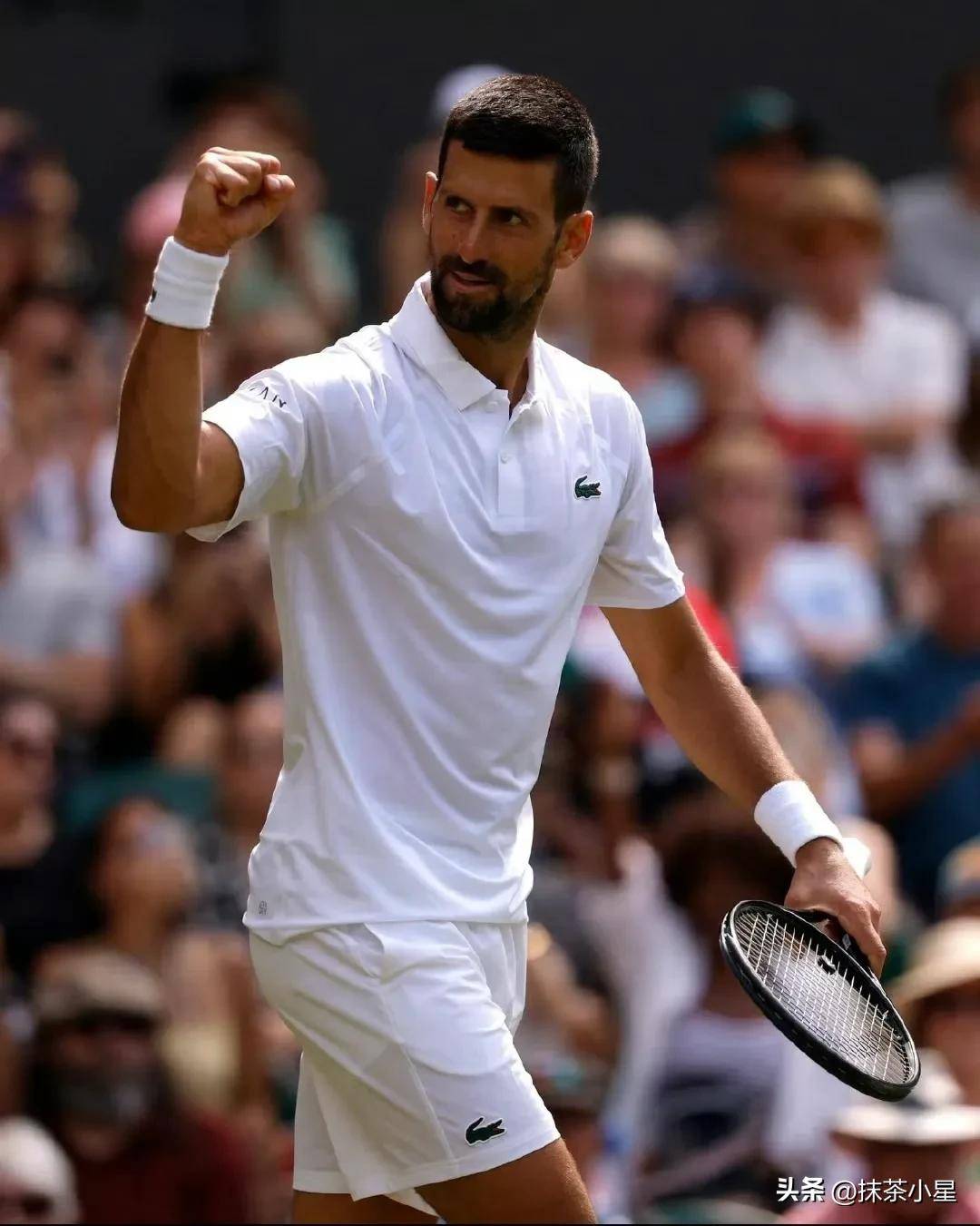 温网逆转拉沃尔杯,德约科维奇扛起全队的简单介绍 温网逆转拉沃尔杯,德约科维奇扛起全队的简单介绍